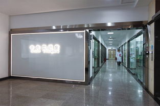 大宝化工 以国漆力量驱动全球车用材料新未来